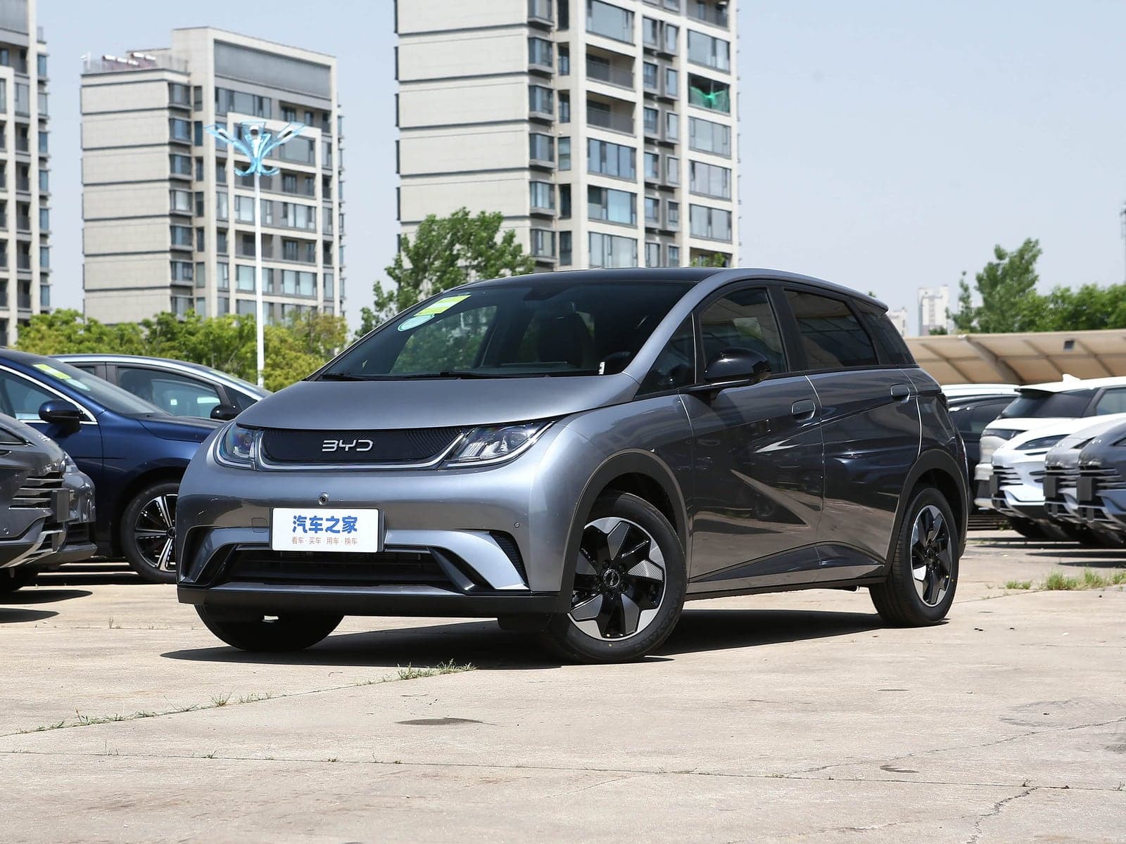 BYD Dolphin 2024 — 车型照片