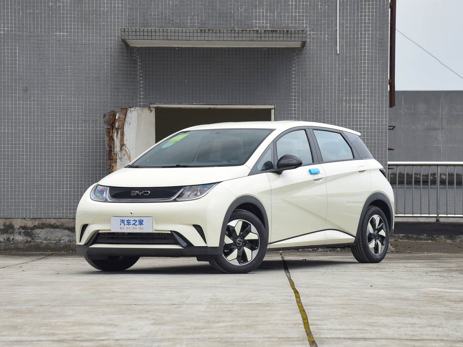 BYD Dolphin — 真实照片 1
