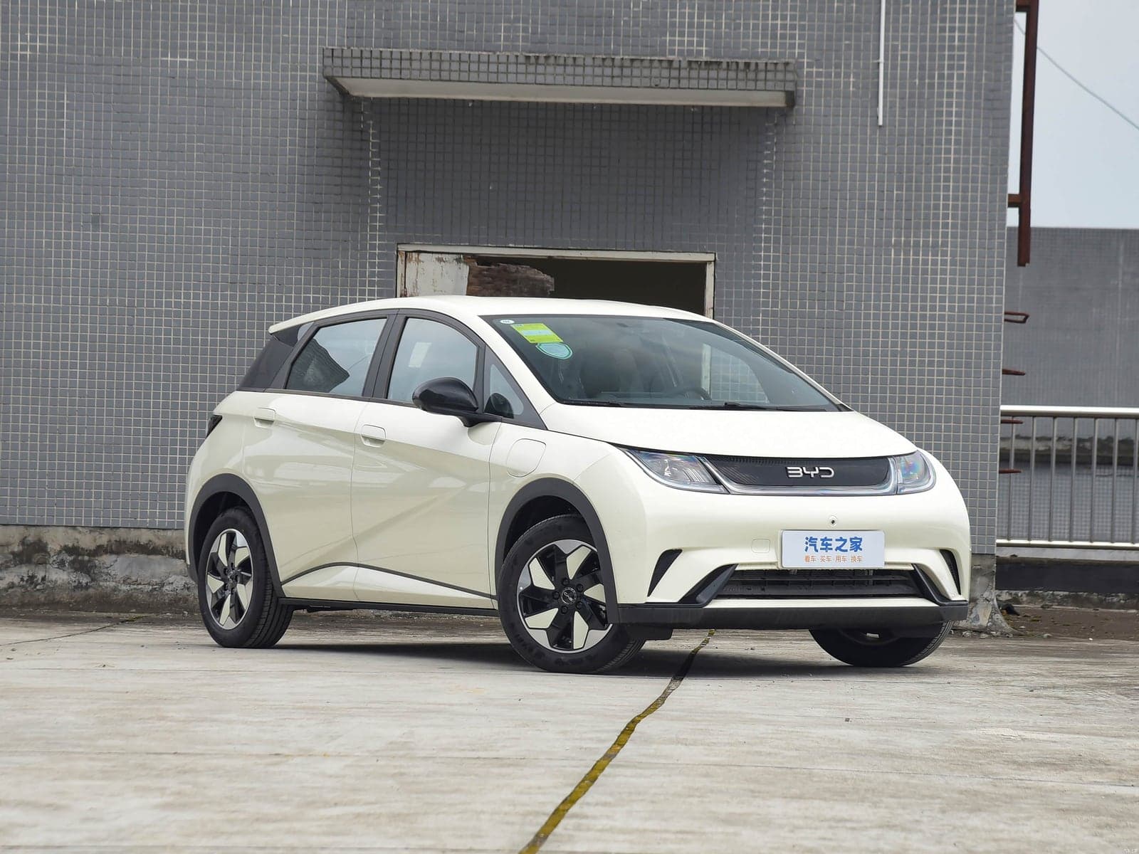 BYD Dolphin — 真实照片 3