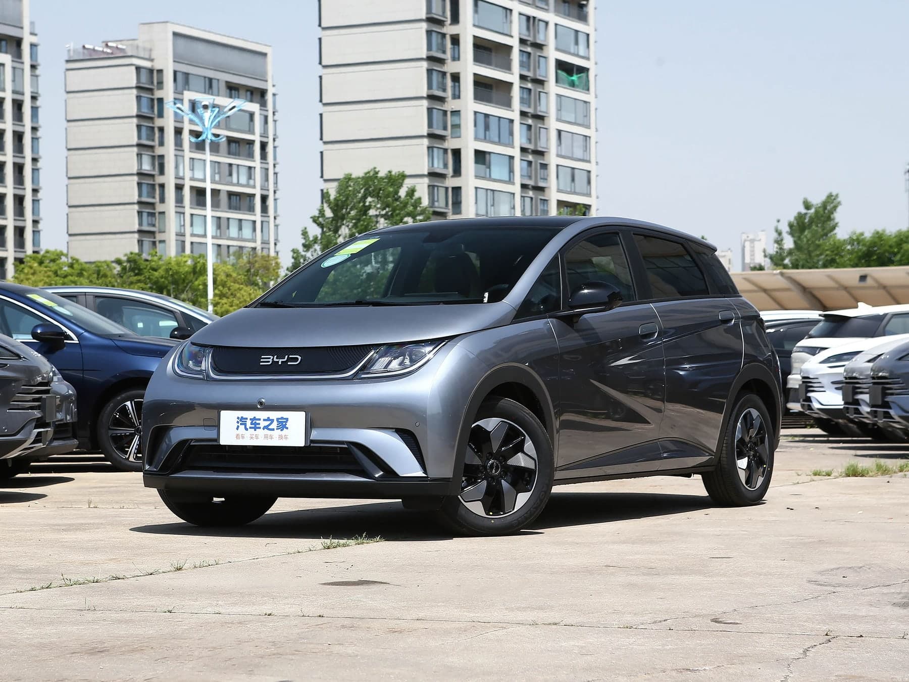 BYD Dolphin — 从中国一价全包进口,Veselov Auto