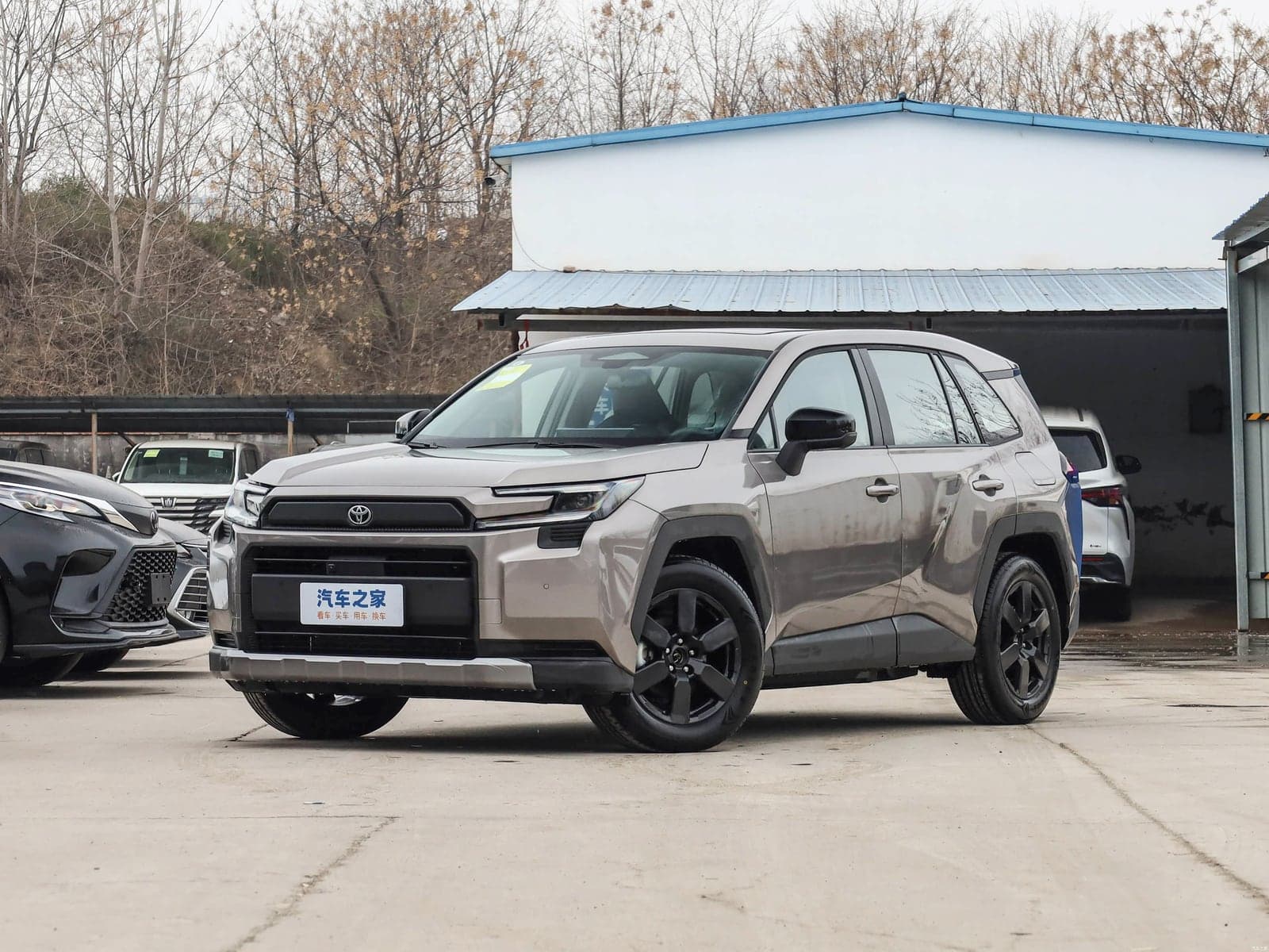 Toyota RAV4 — 真实照片 1