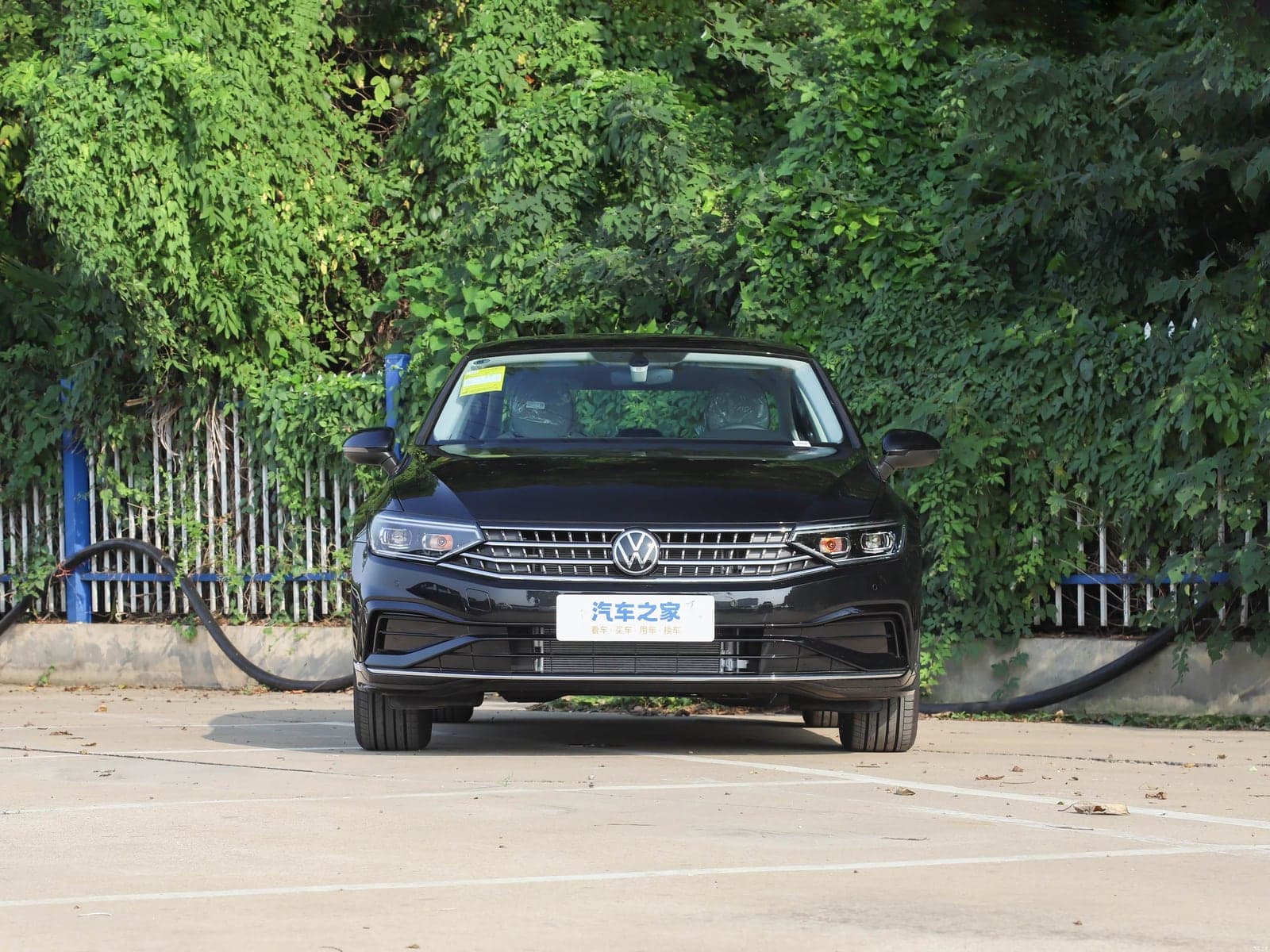 Volkswagen Magotan — 真实照片 2